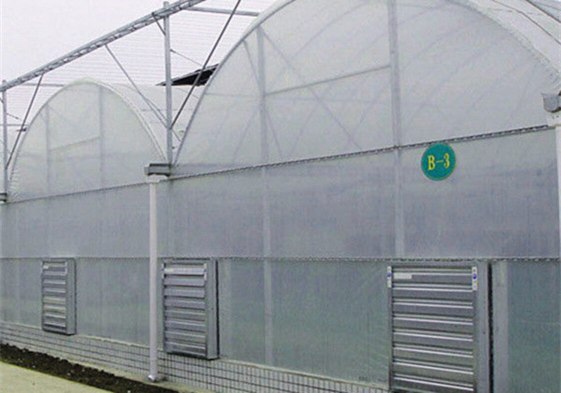 Commercial Size Greenhouse Multispan Greenhouse UV Protection