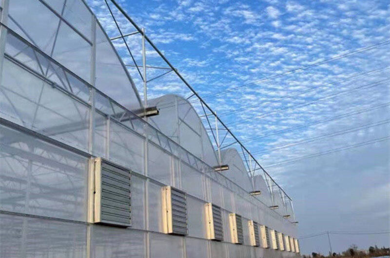 Commercial Size Greenhouse Multispan Greenhouse UV Protection