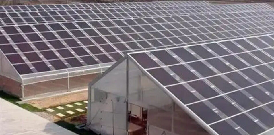 Commercial Solar PV Greenhouse Solar Energy Greenhouse Modern Design