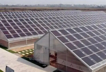 Commercial Solar PV Greenhouse Solar Energy Greenhouse Modern Design