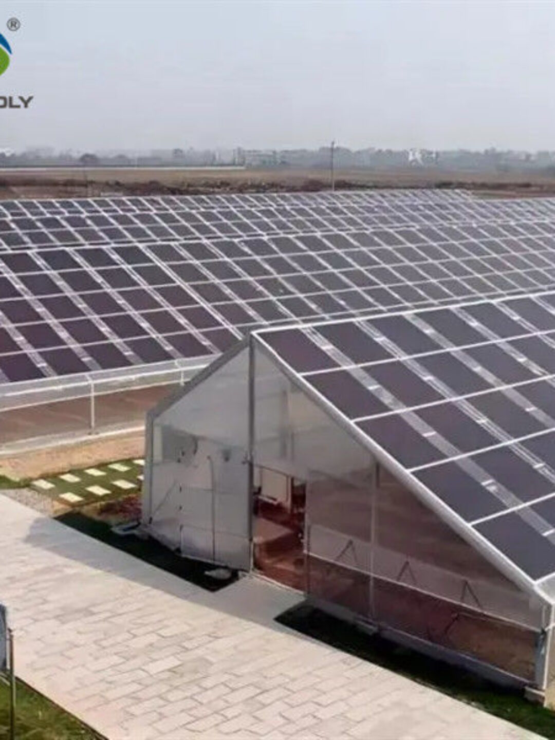 Commercial Solar PV Greenhouse Solar Energy Greenhouse Modern Design