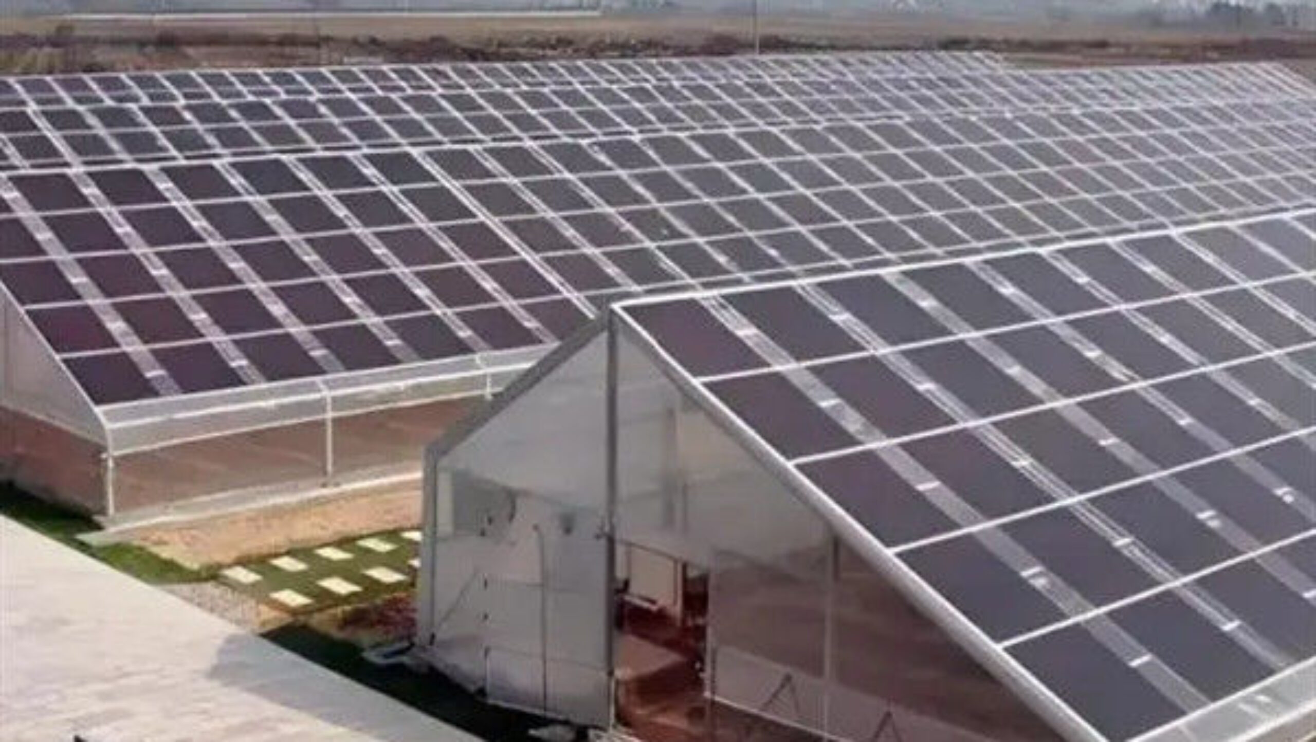 Commercial Solar PV Greenhouse Solar Energy Greenhouse Modern Design
