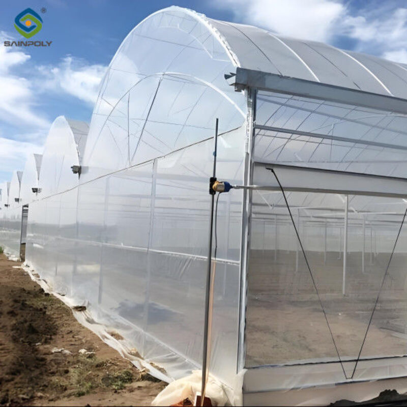 Computerized Control Agricultural Greenhouse Vegetable Growing Greenhouse Customizable Size