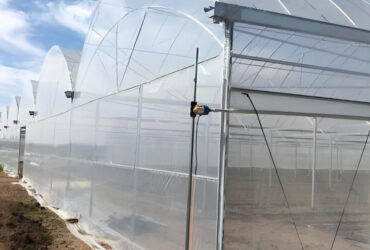 Computerized Control Agricultural Greenhouse Vegetable Growing Greenhouse Customizable Size