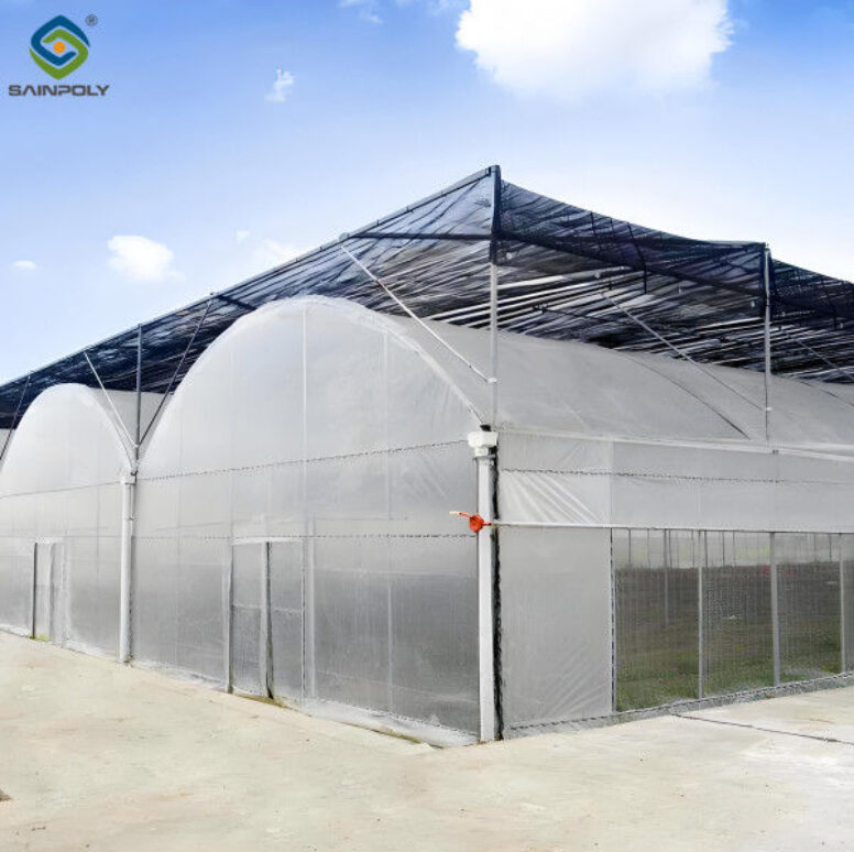 Computerized Control Agricultural Greenhouse Vegetable Growing Greenhouse Customizable Size