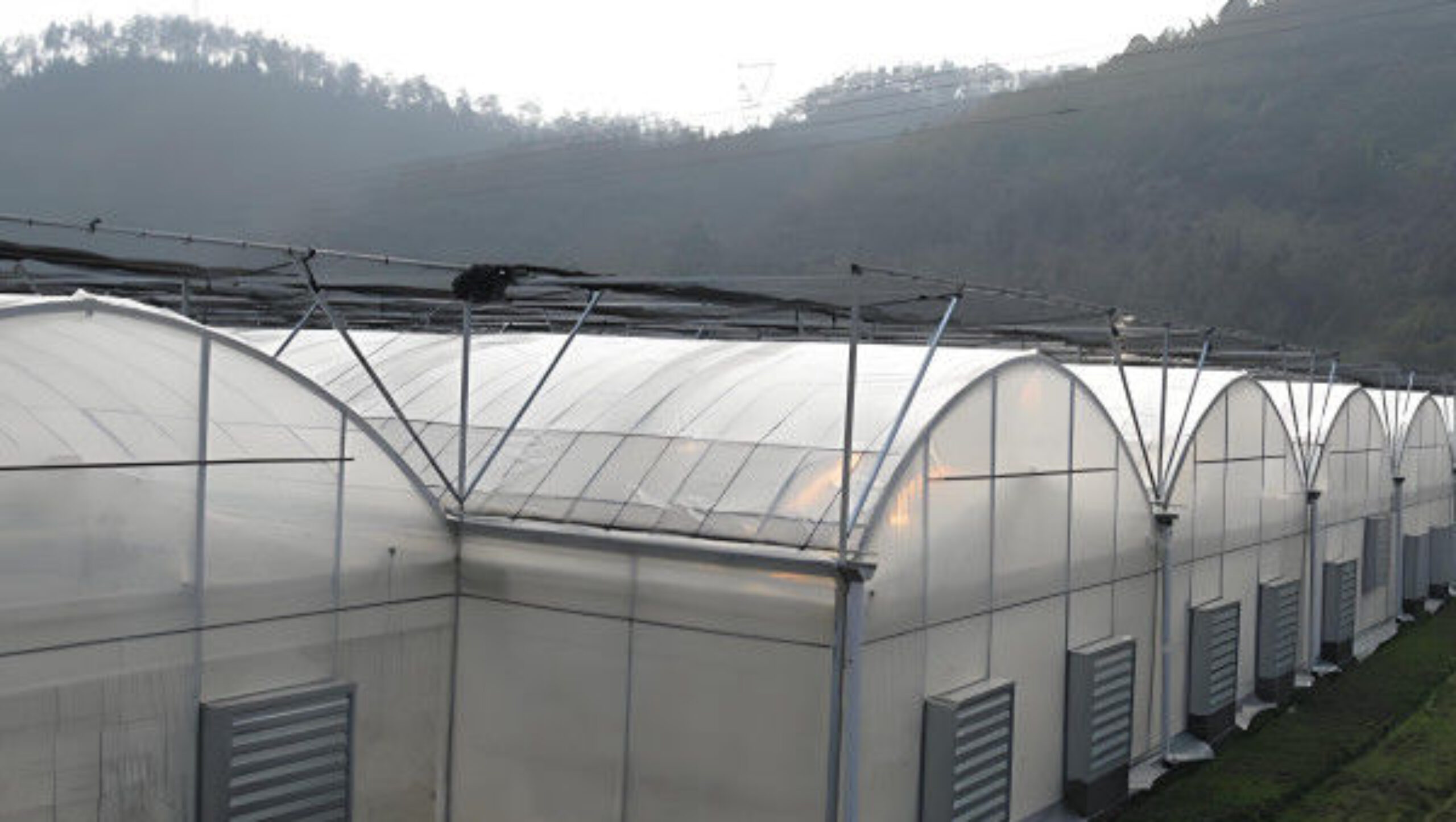 Computerized Control Agricultural Greenhouse Vegetable Growing Greenhouse Customizable Size