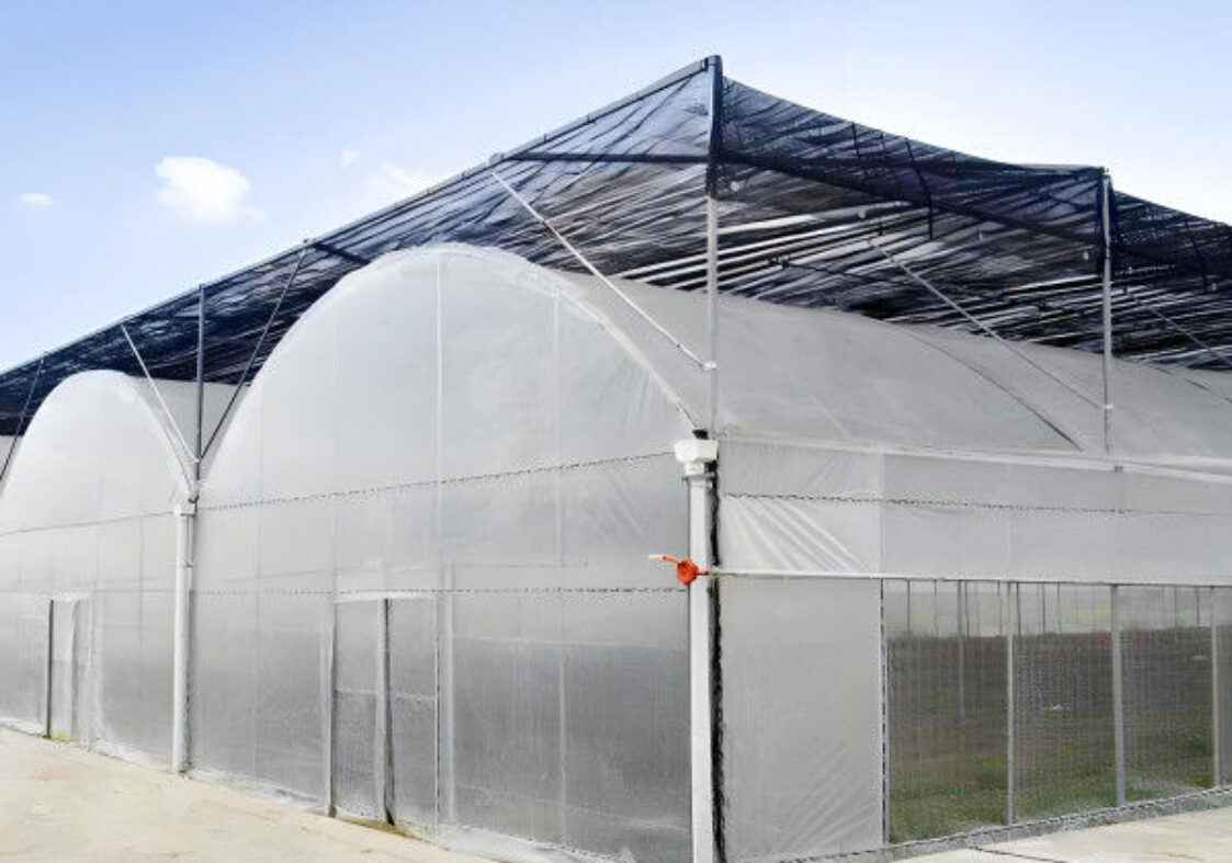 Computerized Control Agricultural Greenhouse Vegetable Growing Greenhouse Customizable Size