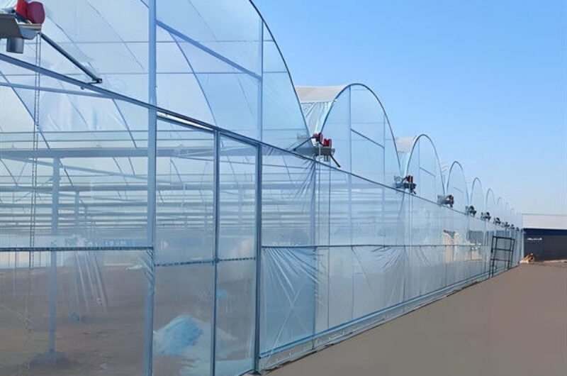 Computerized Control Agricultural Greenhouse Vegetable Growing Greenhouse Customizable Size