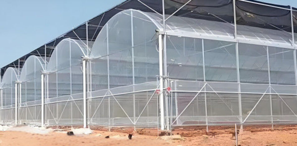 Computerized Control Agriculture Commercial Greenhouse Space Efficient