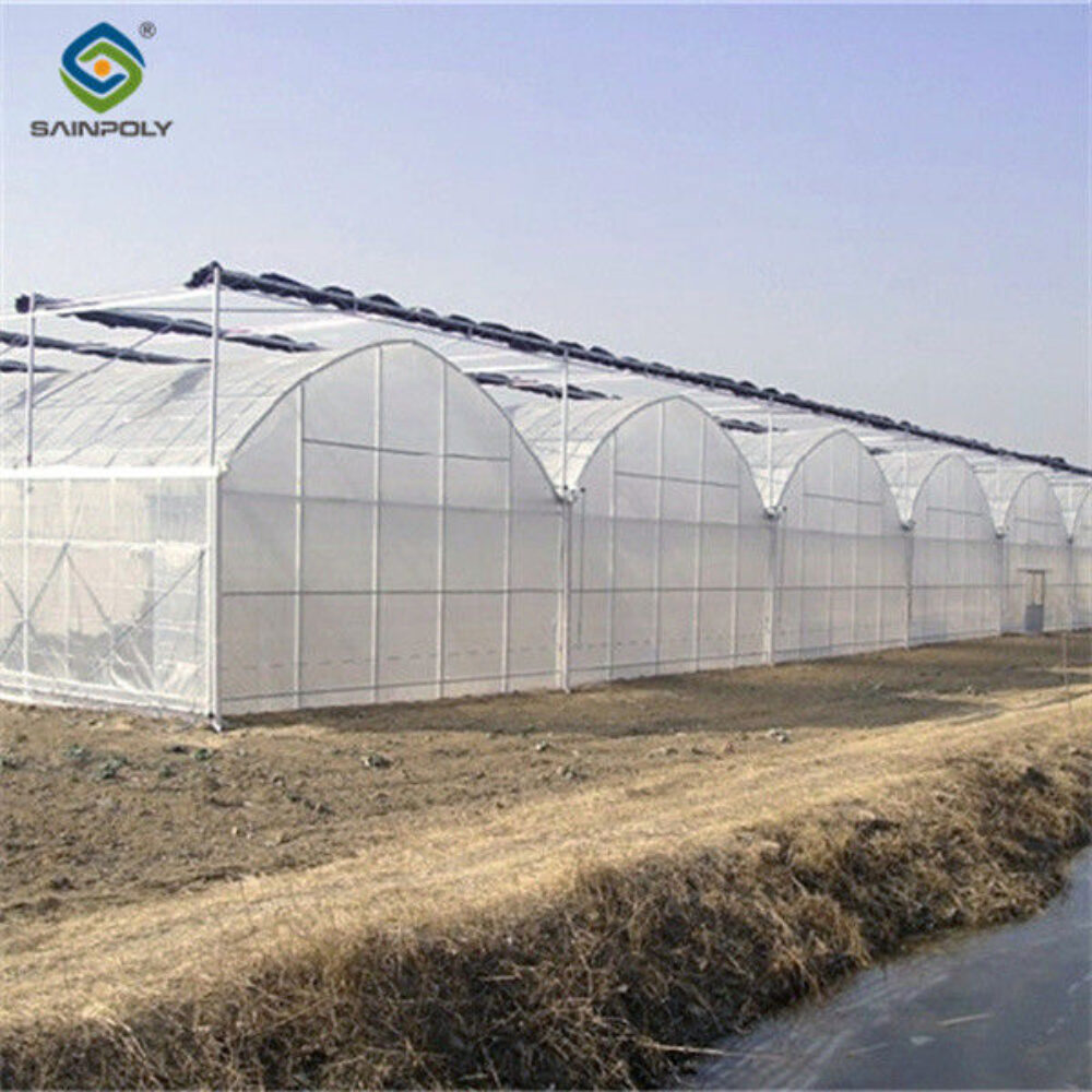 Computerized Control Agriculture Commercial Greenhouse Space Efficient