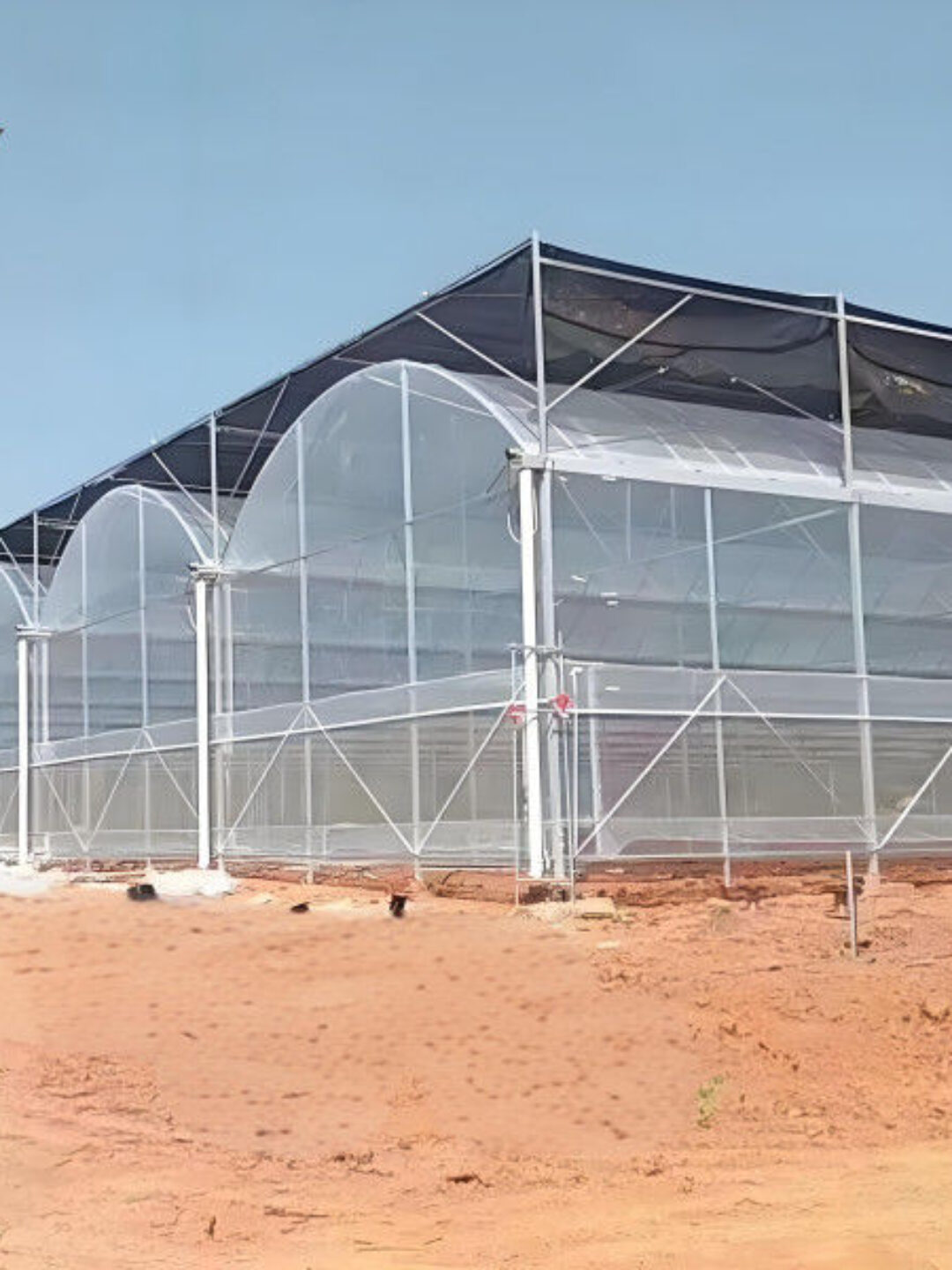 Computerized Control Agriculture Commercial Greenhouse Space Efficient