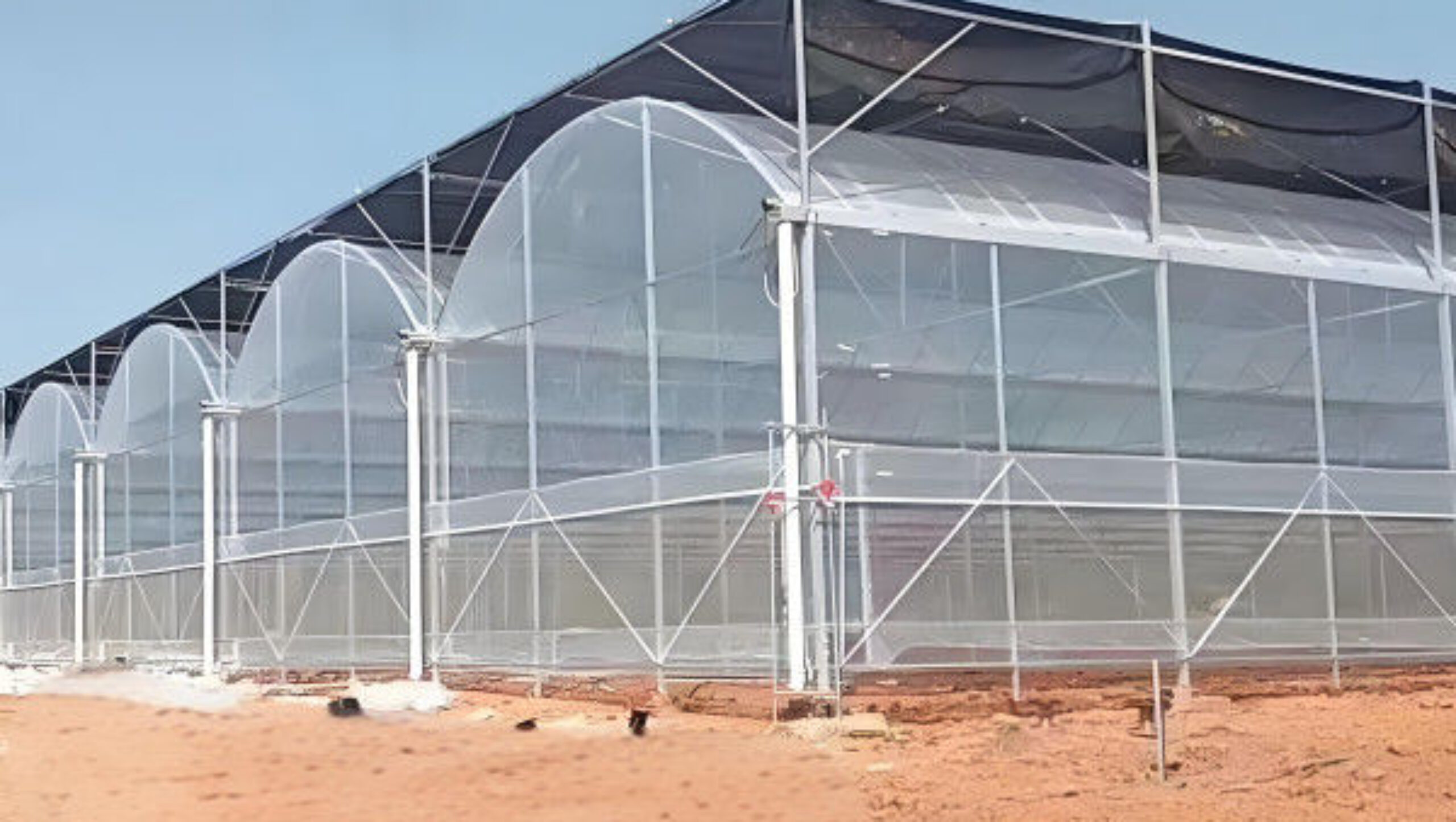 Computerized Control Agriculture Commercial Greenhouse Space Efficient