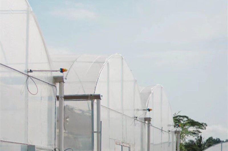 Computerized Control Agriculture Commercial Greenhouse Space Efficient