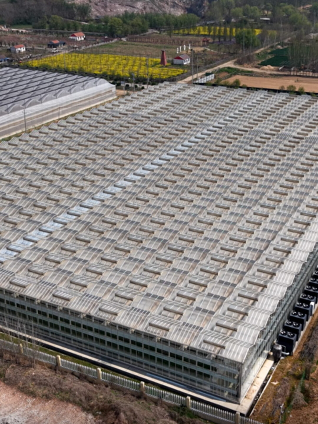 (Cucumber Substrate Hydroponics) High-Density Planting Commercial Multi-Span Hydroponic Greenhouse