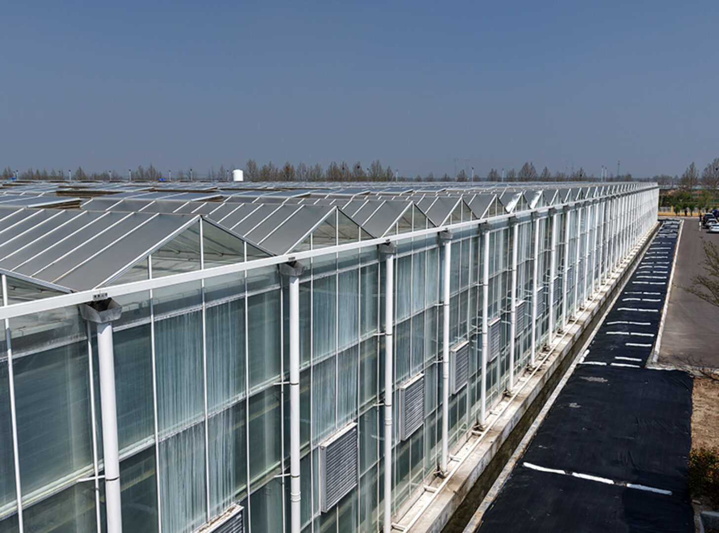(Cucumber Substrate Hydroponics) High-Density Planting Commercial Multi-Span Hydroponic Greenhouse