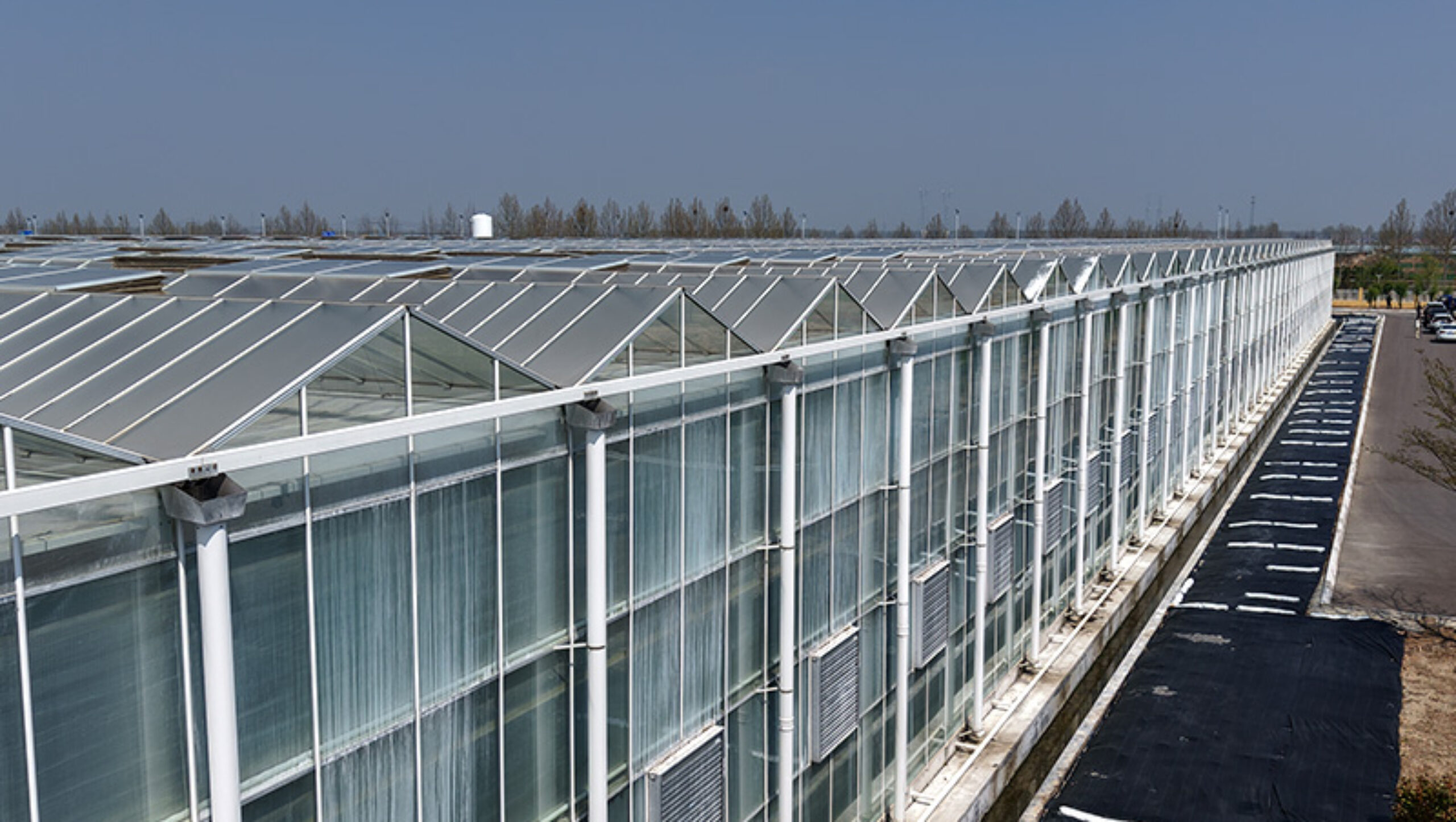 (Cucumber Substrate Hydroponics) High-Density Planting Commercial Multi-Span Hydroponic Greenhouse