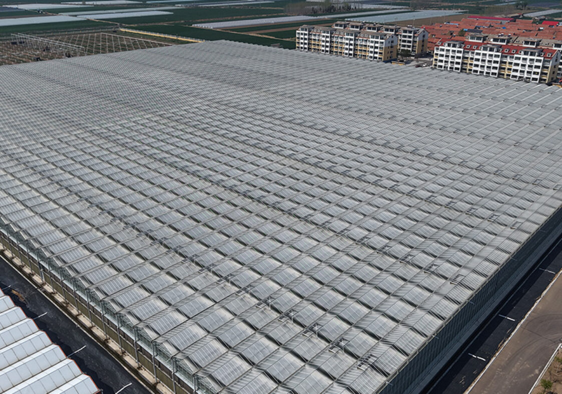 (Cucumber Substrate Hydroponics) High-Density Planting Commercial Multi-Span Hydroponic Greenhouse