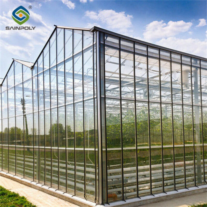 Custom Dutch Venlo Greenhouse Modern Farms Greenhouse With Intelligent Control System