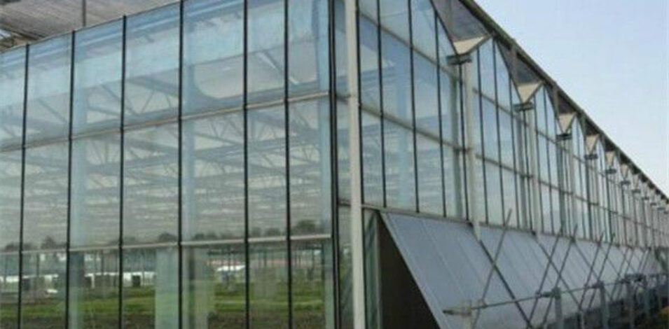 Custom Dutch Venlo Greenhouse Modern Farms Greenhouse With Intelligent Control System
