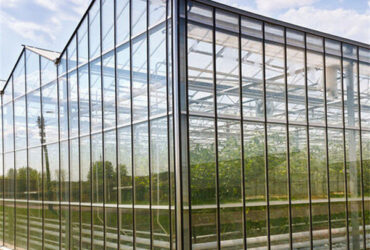 Custom Dutch Venlo Greenhouse Modern Farms Greenhouse With Intelligent Control System