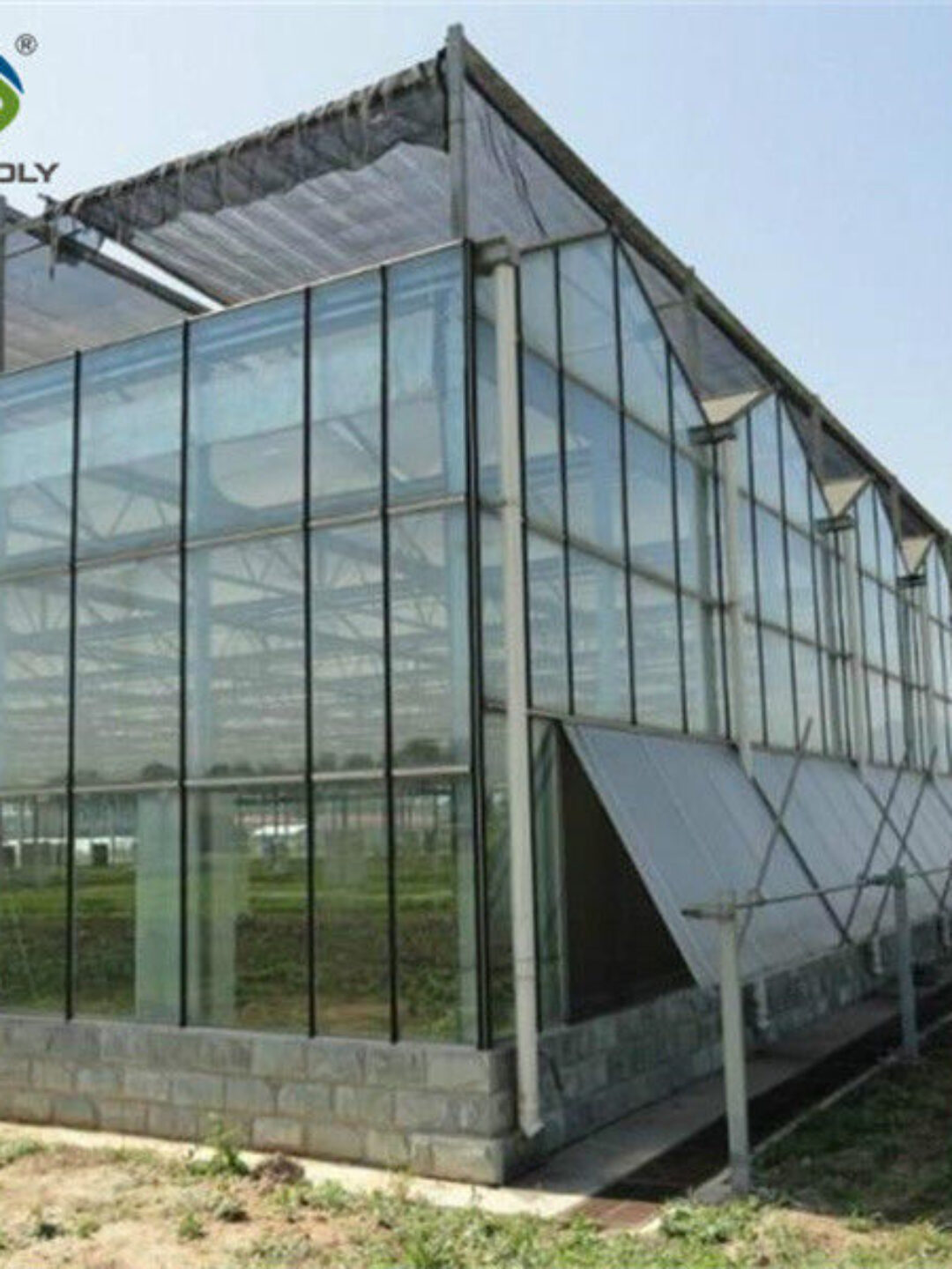 Custom Dutch Venlo Greenhouse Modern Farms Greenhouse With Intelligent Control System
