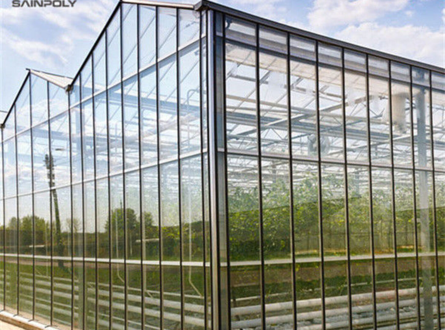 Custom Dutch Venlo Greenhouse Modern Farms Greenhouse With Intelligent Control System