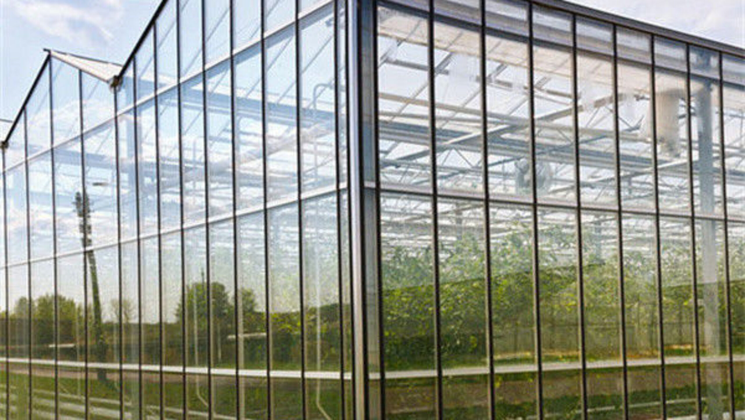 Custom Dutch Venlo Greenhouse Modern Farms Greenhouse With Intelligent Control System