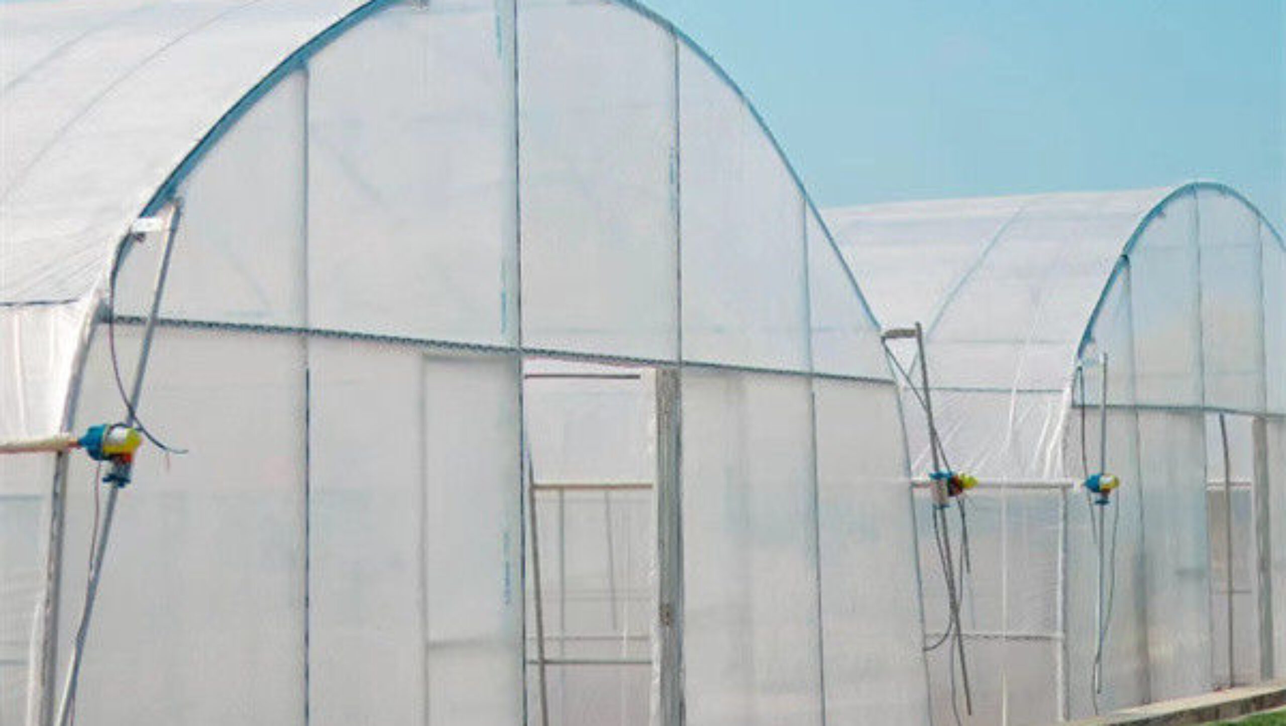 Custom Tomato Greenhouse with Drip Irrigation and LED Grow Lights