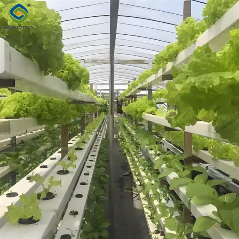 Customizable Agricultural Greenhouses Aeroponics Lettuce Hydroponics System