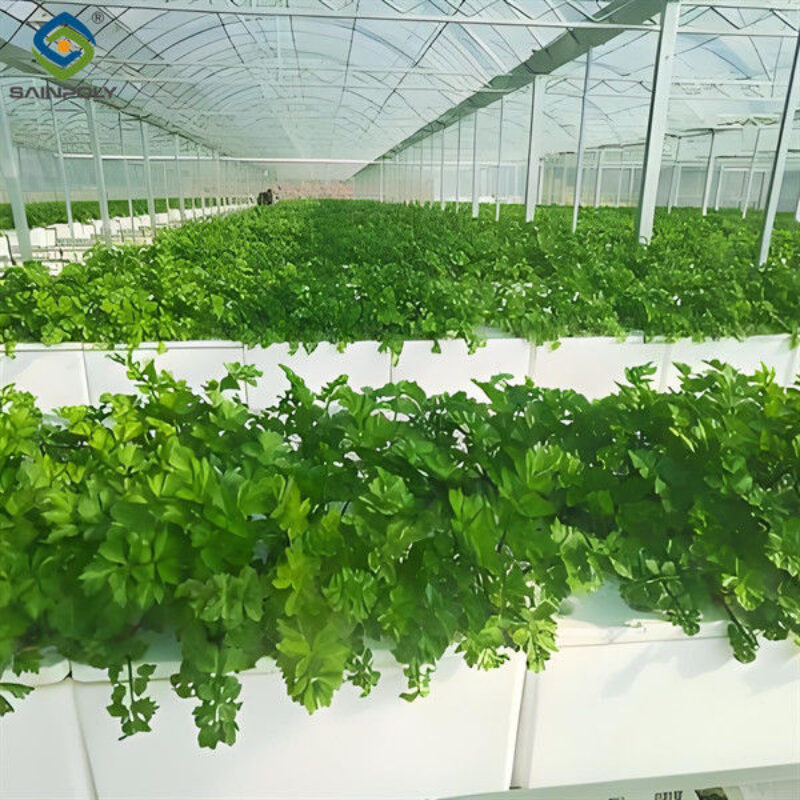 Customizable Agricultural Greenhouses Aeroponics Lettuce Hydroponics System