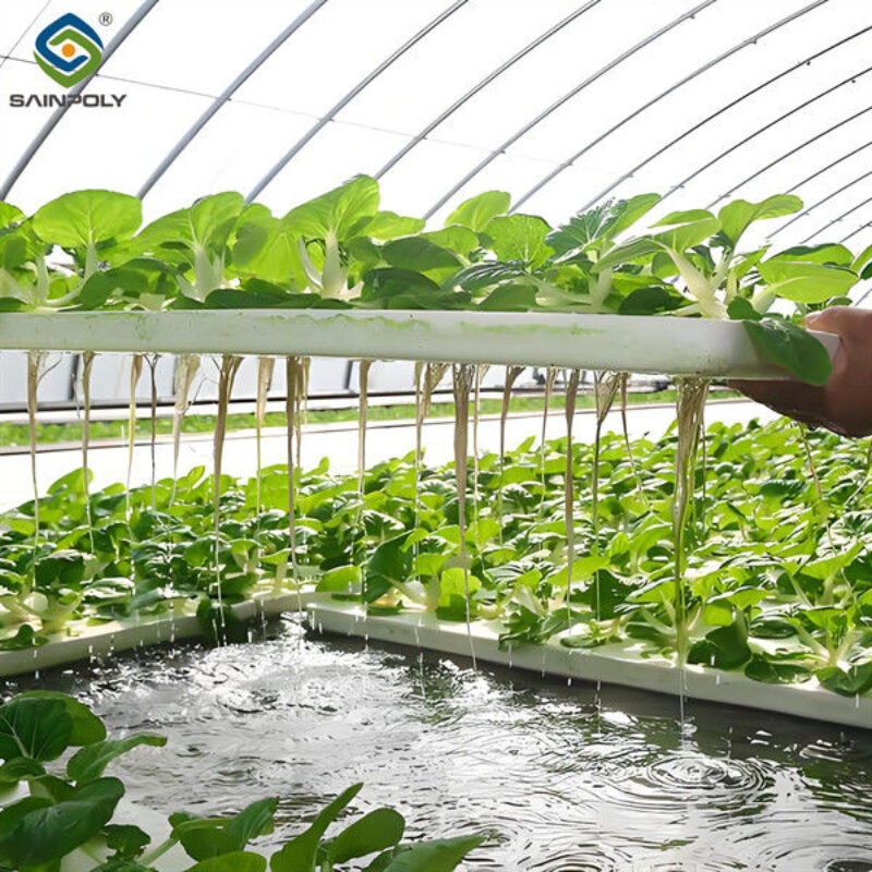 Customizable Agricultural Greenhouses Aeroponics Lettuce Hydroponics System