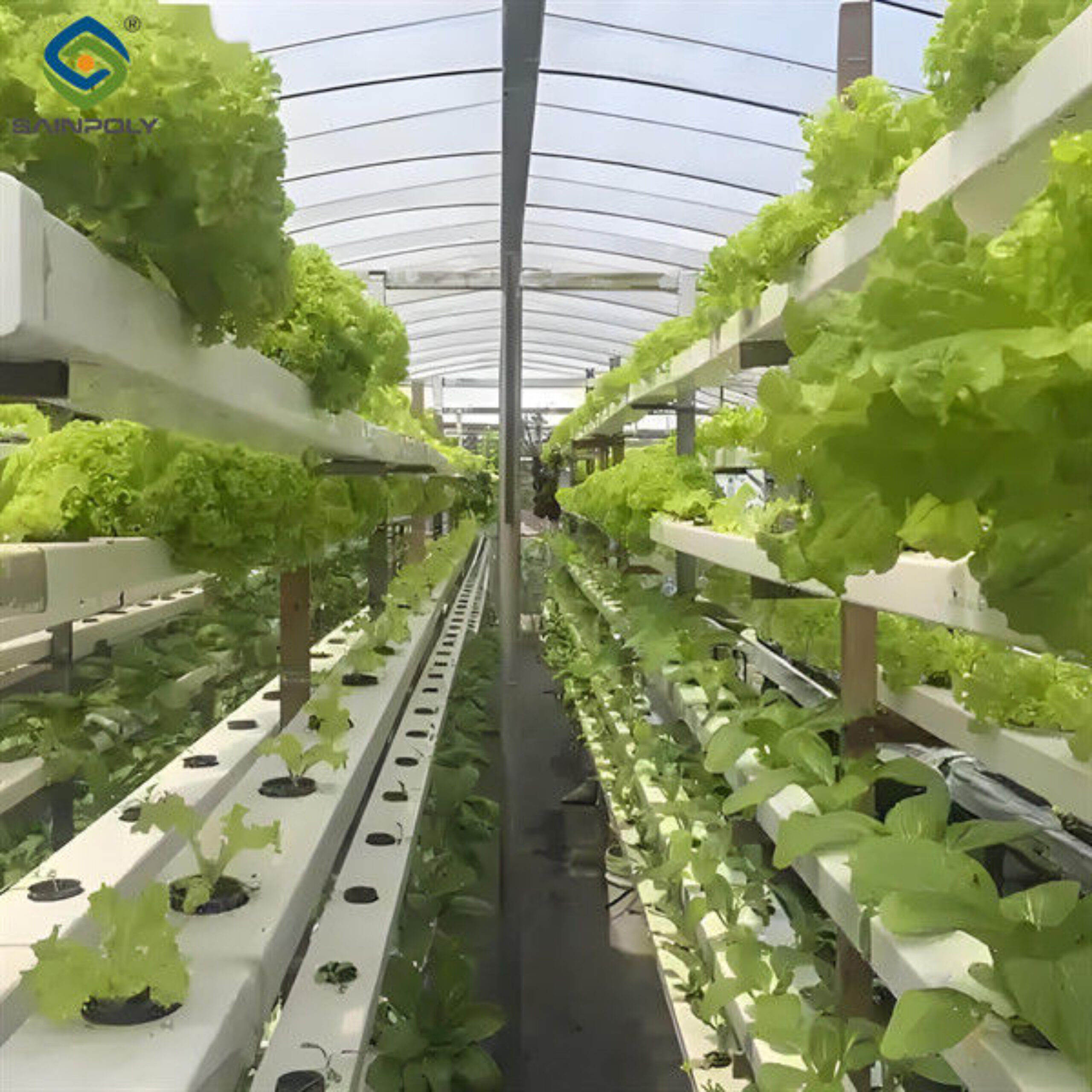 Customizable Agricultural Greenhouses Aeroponics Lettuce Hydroponics System