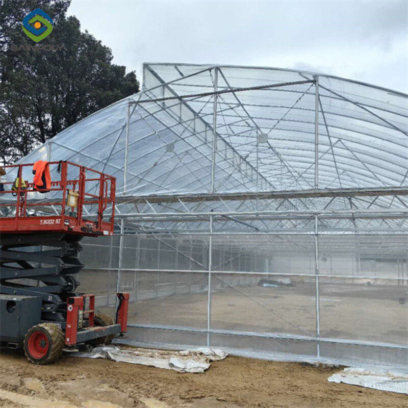 Customizable Commercial Hydroponic Greenhouse Tomato Green House Low Maintenance