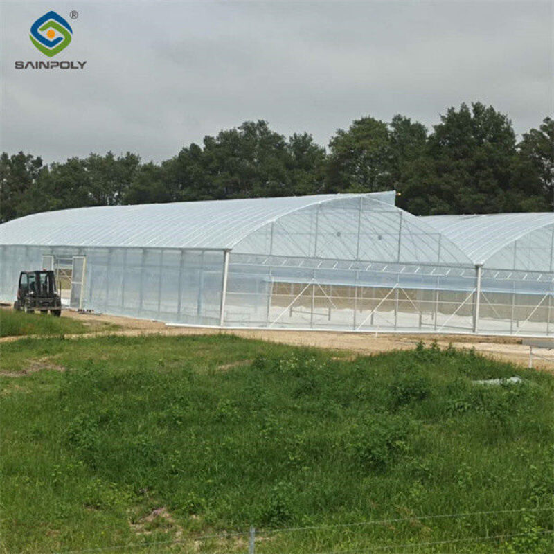 Customizable Commercial Hydroponic Greenhouse Tomato Green House Low Maintenance