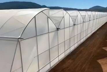 Customizable Commercial Hydroponic Greenhouse Tomato Green House Low Maintenance
