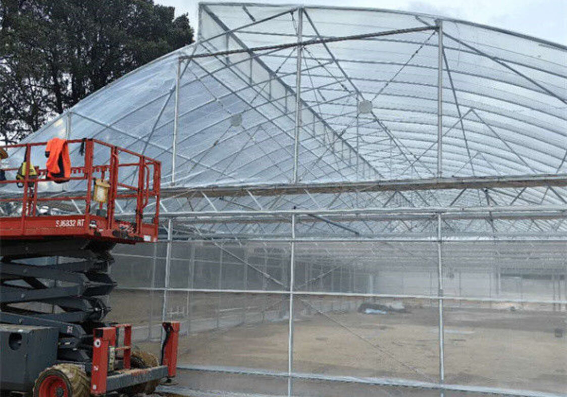 Customizable Commercial Hydroponic Greenhouse Tomato Green House Low Maintenance