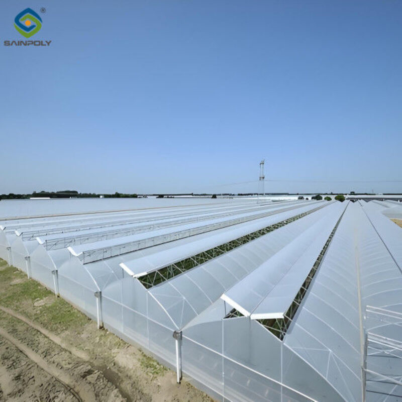 Customizable Multi Span Greenhouse For Tomato Plants Growing