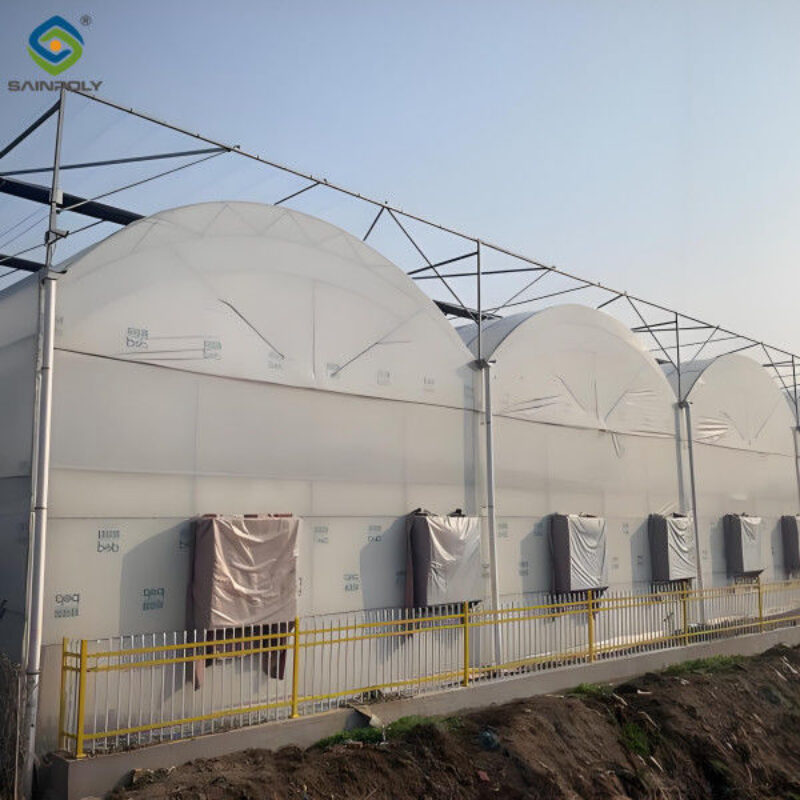 Customizable Multi Span Greenhouse For Tomato Plants Growing