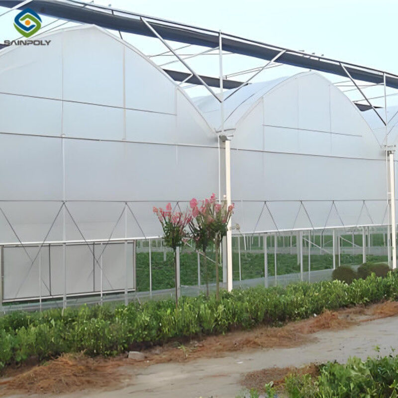 Customizable Multi Span Greenhouse For Tomato Plants Growing