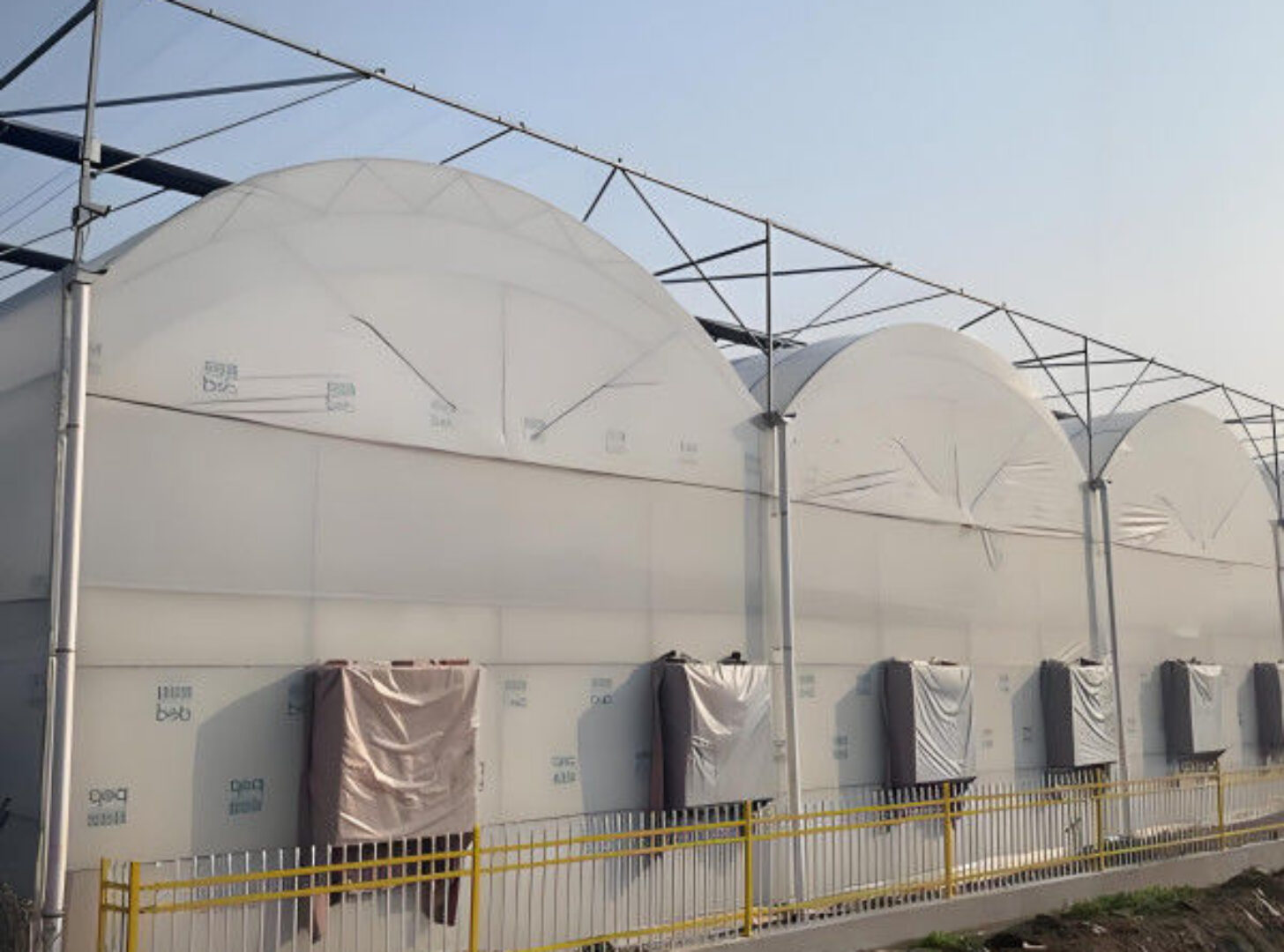 Customizable Multi Span Greenhouse For Tomato Plants Growing