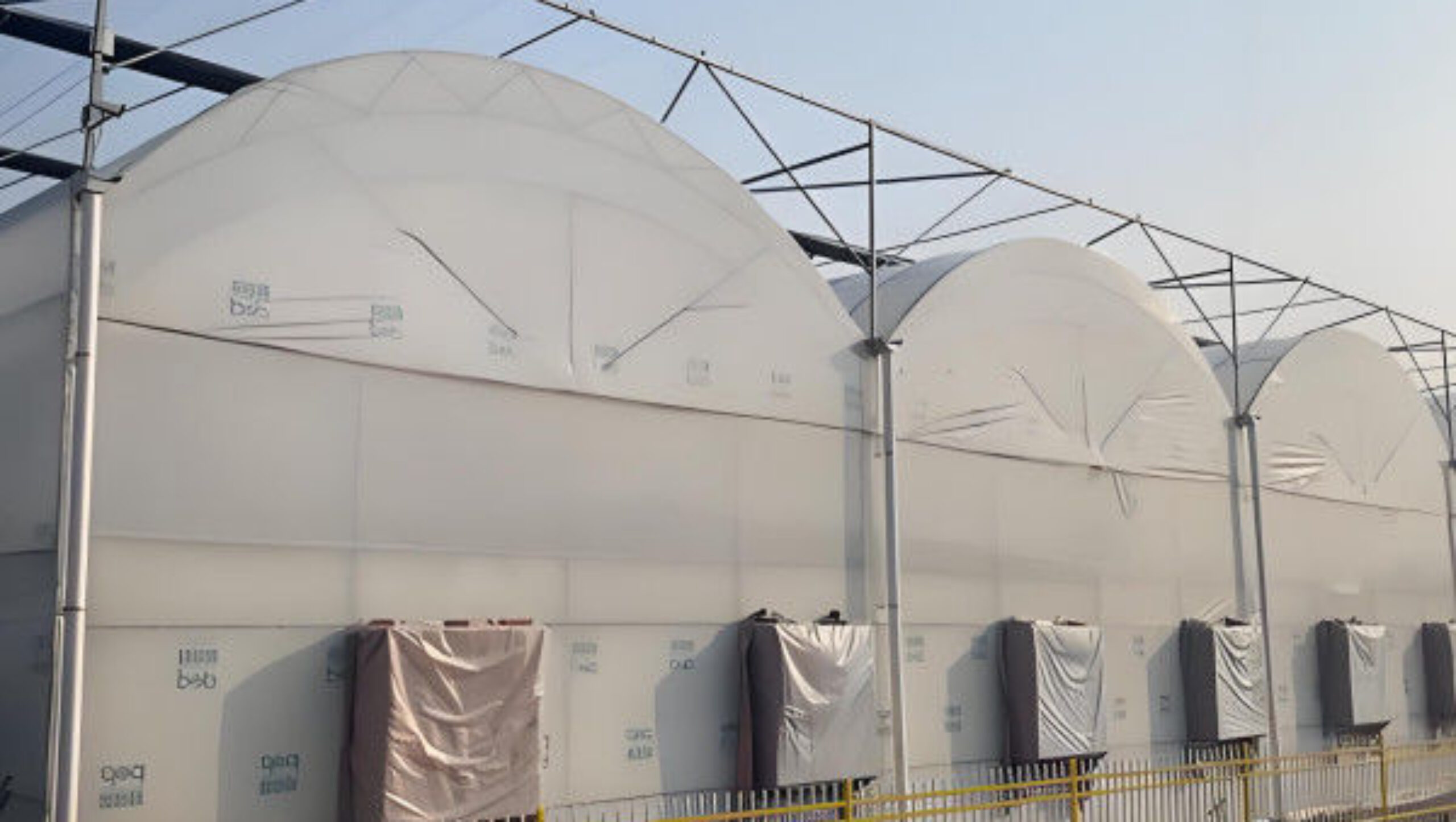 Customizable Multi Span Greenhouse For Tomato Plants Growing