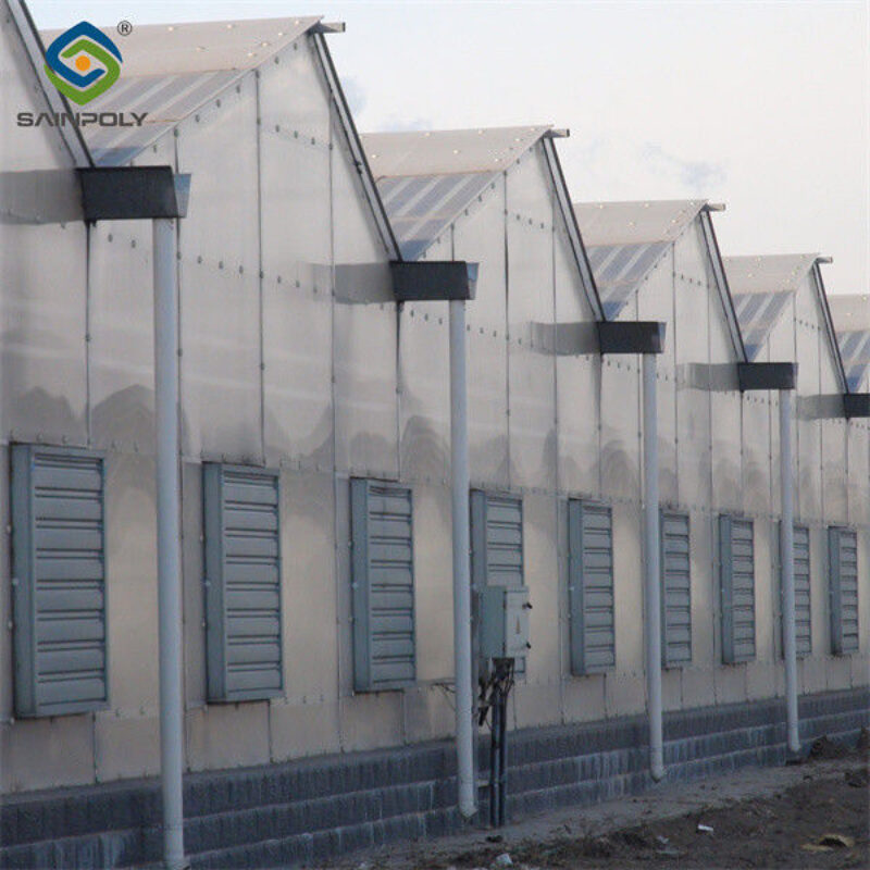 Customizable Winter Glass Solar Cell Greenhouse With Automation System