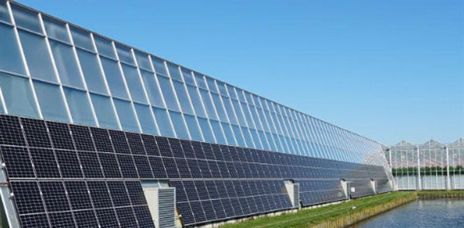 Customizable Winter Glass Solar Cell Greenhouse With Automation System