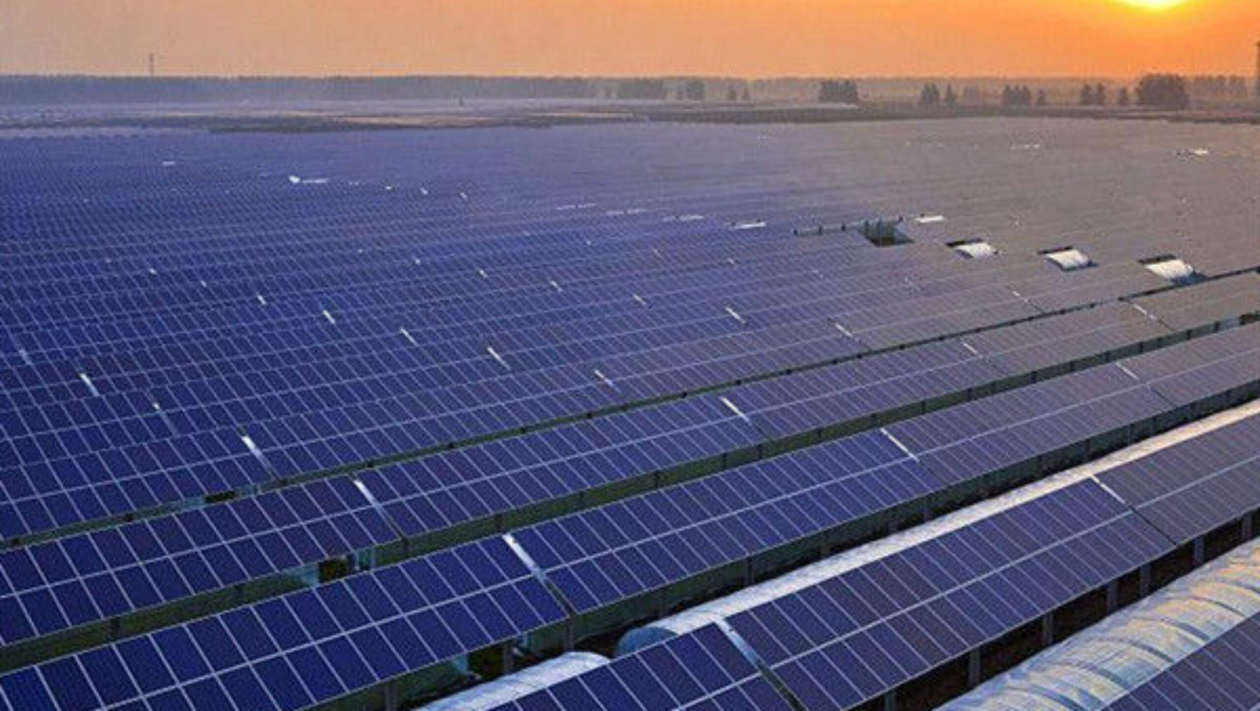 Customizable Winter Glass Solar Cell Greenhouse With Automation System