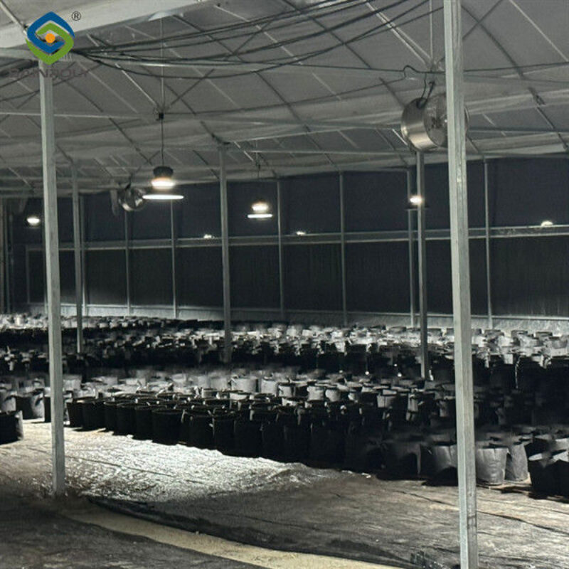 Customization Automated Light Dep Greenhouse Large Size 3 Layers
