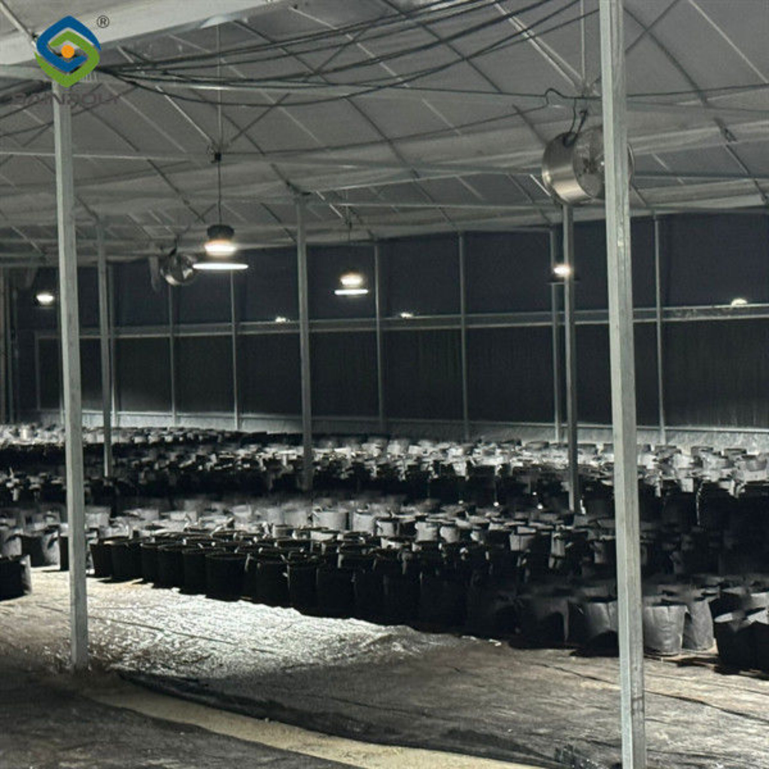 Customization Automated Light Dep Greenhouse Large Size 3 Layers