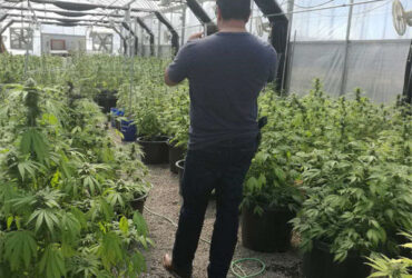 Customization Automated Light Dep Greenhouse Large Size 3 Layers