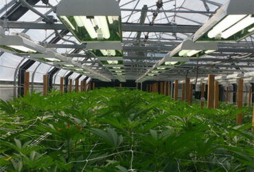 Customization Automated Light Dep Greenhouse Large Size 3 Layers