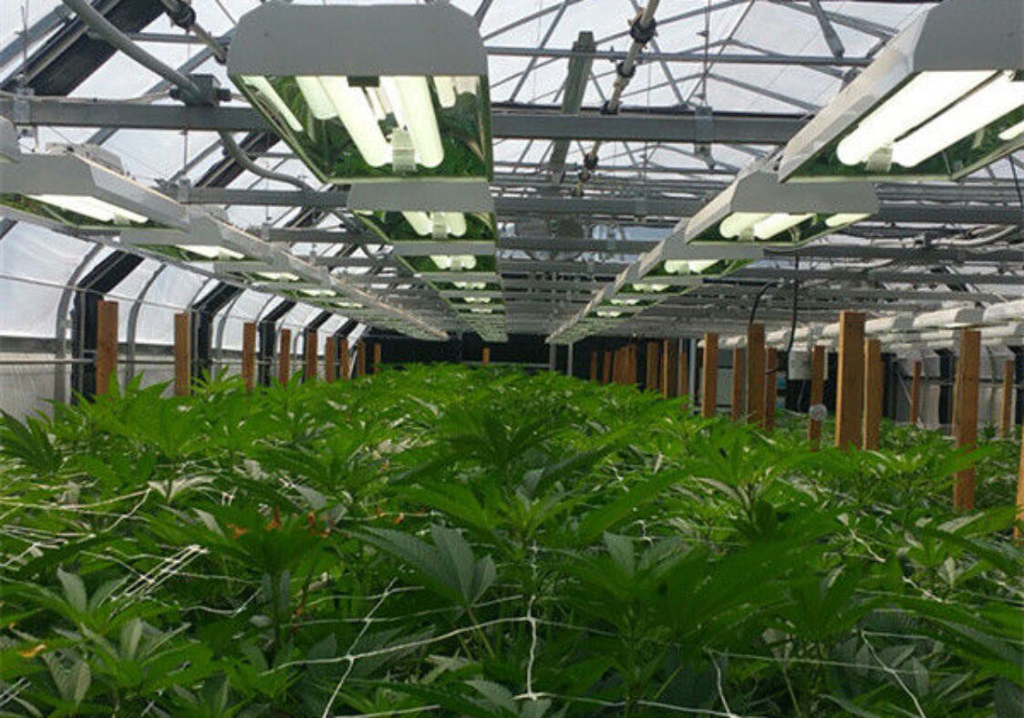 Customization Automated Light Dep Greenhouse Large Size 3 Layers