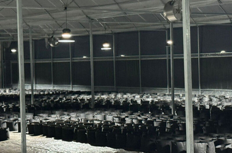 Customization Automated Light Dep Greenhouse Large Size 3 Layers